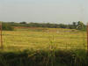 16 Acres of Land for Sale