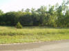 16 Acres of Land for Sale