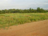 38 Acres of Land for Sale